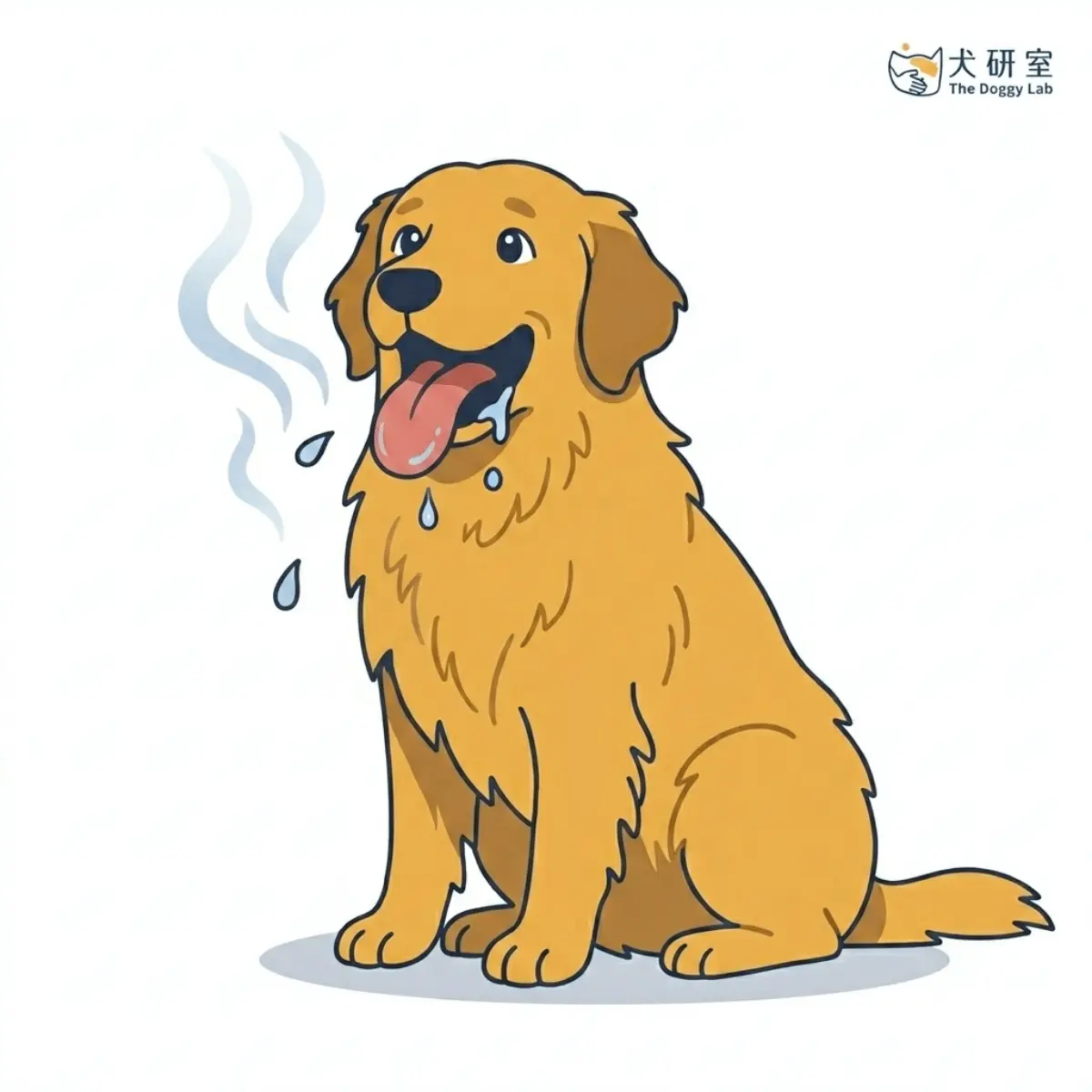 狗狗熱中暑高風險犬種與夏季散步指南