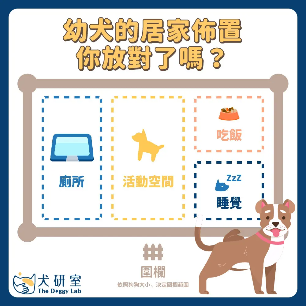 20210721🖋官網專欄分享 幼犬大小便訓練