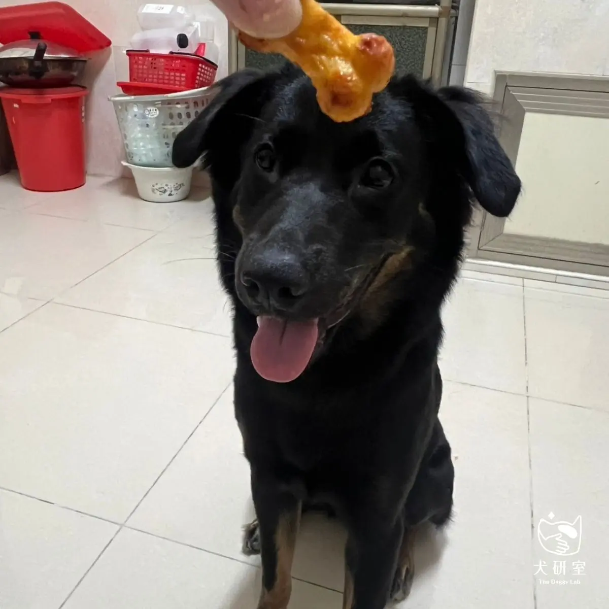 案例：嚕米 3